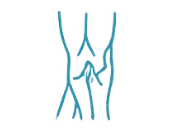 circulation